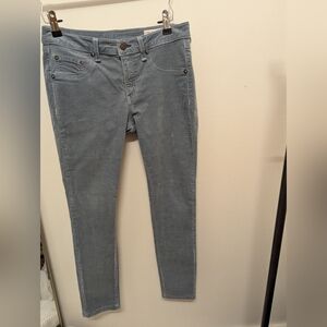 Rag And Bone Steel Blue Velvet leggings